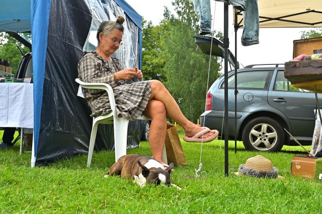 Wollfest 2025